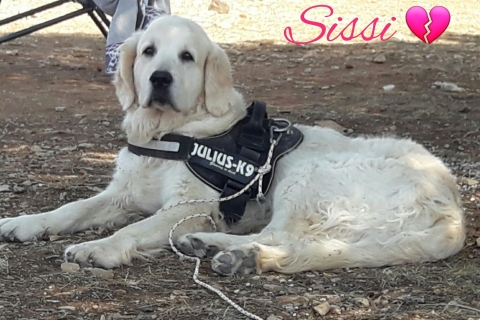 Sissi