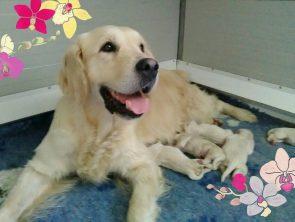 EVVIVA!!! Ecco a voi i batuffoli di India e Mika