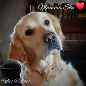 Mamma Sky